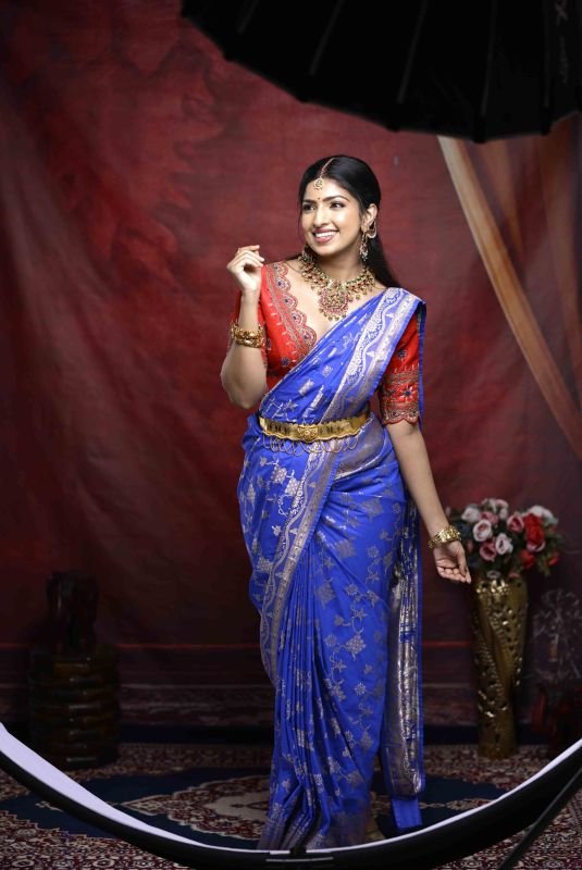 Festive Sarees